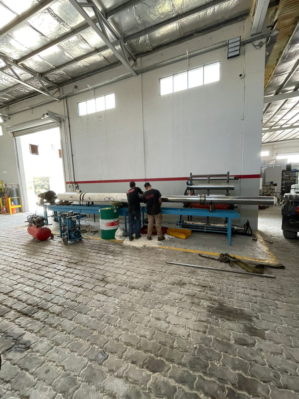 Proyecto industrial